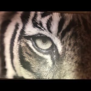 Meet your Posher, Leena